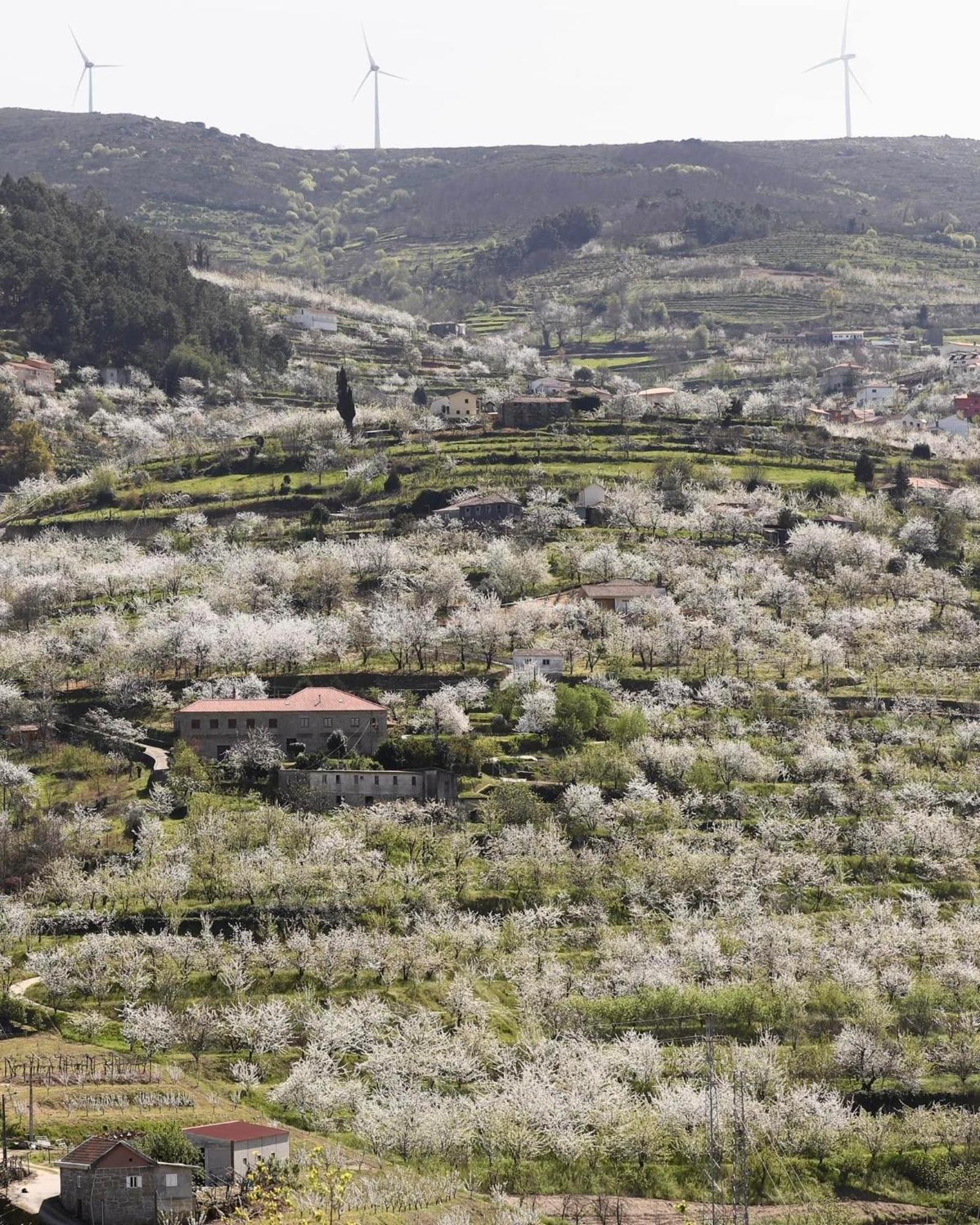 Quinta Do Sonho Villa Resende Exterior photo